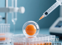 取卵后多久可以移植？鲜胚、冻胚移植时间及步骤详解